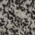 Black Dalmatian Black Or Hagar Black Canada