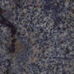 Blue Azul Bahia Or Blue Bahia Or Sodalite Brazil