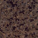 Brown Creme Bahia Brazil