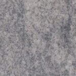 Gray Disco Gray India