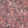 Rose   Desert Rose   Australia