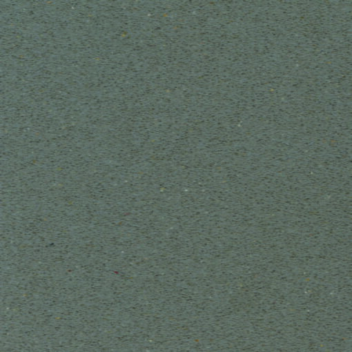 Grey Expo