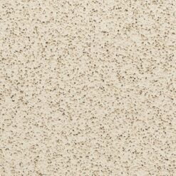 Latte Medium View